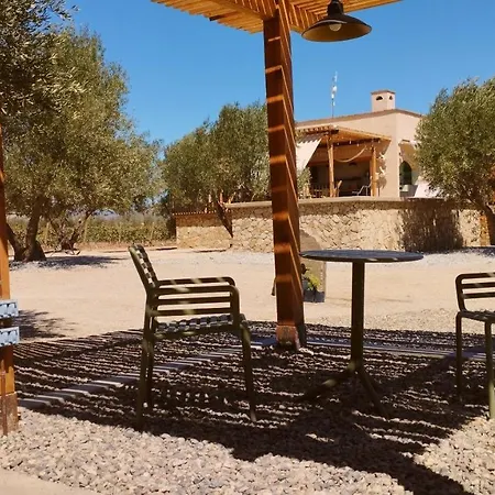 Alma Liebre Vinedos Del Valle Valle de Guadalupe Exterior photo
