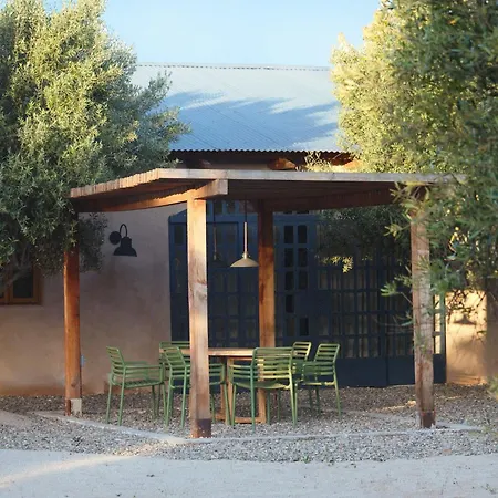 Alma Liebre Vinedos Del Valle Valle de Guadalupe Exterior photo