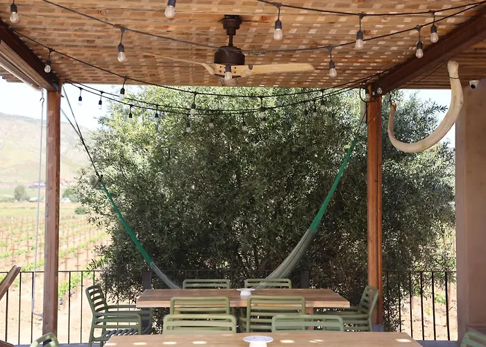 Alma Liebre Vinedos Del Valle