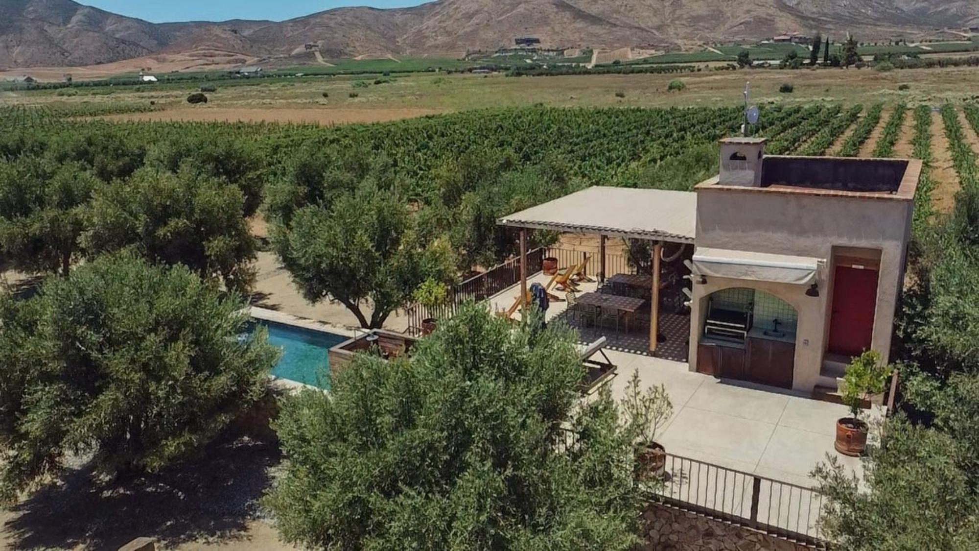 Alma Liebre Vinedos Del Valle Valle de Guadalupe