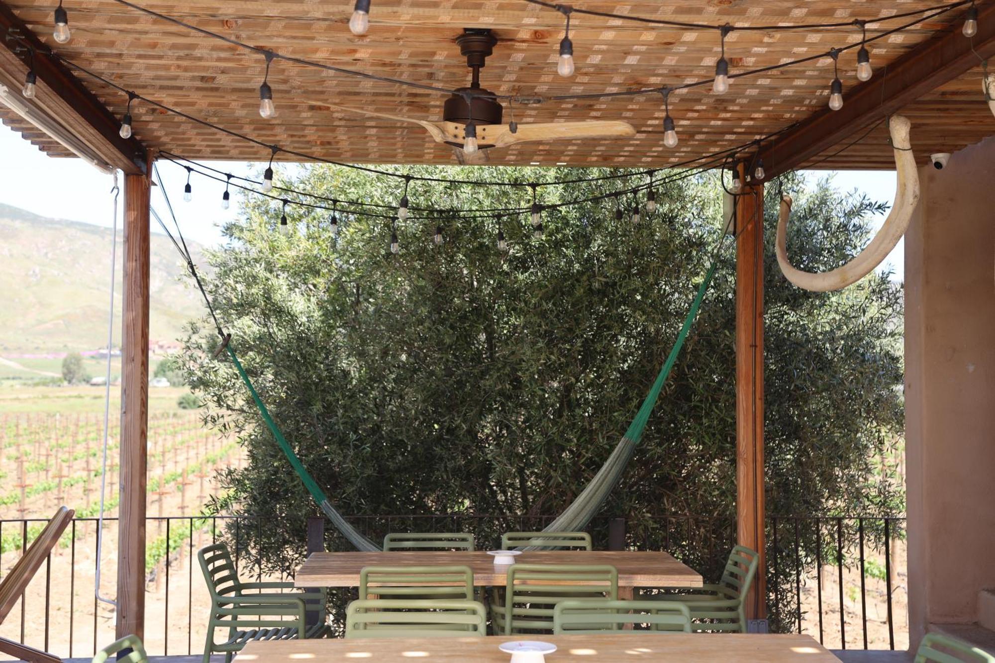 Alma Liebre Vinedos Del Valle * Valle de Guadalupe