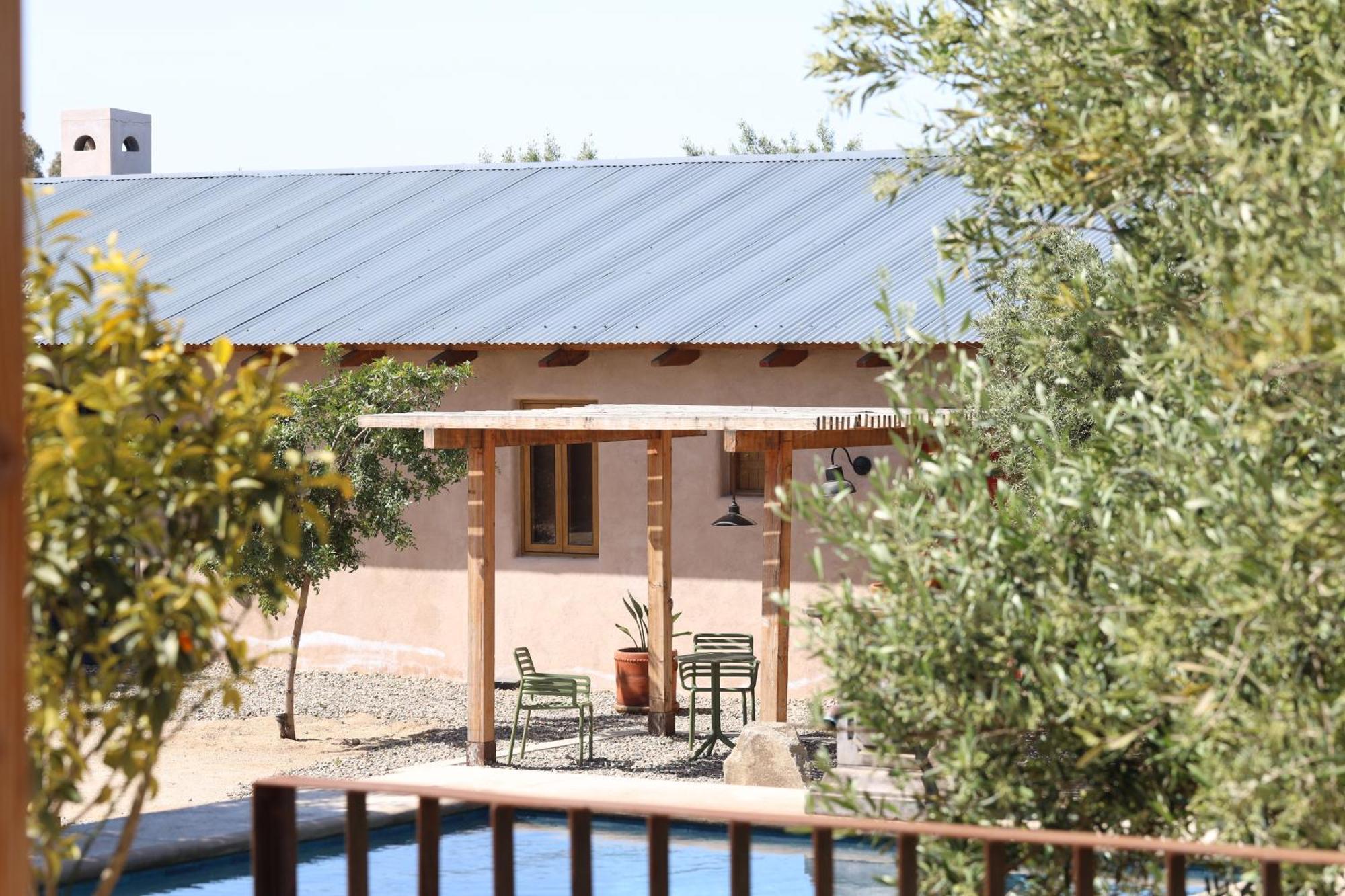 Alma Liebre Vinedos Del Valle * Valle de Guadalupe